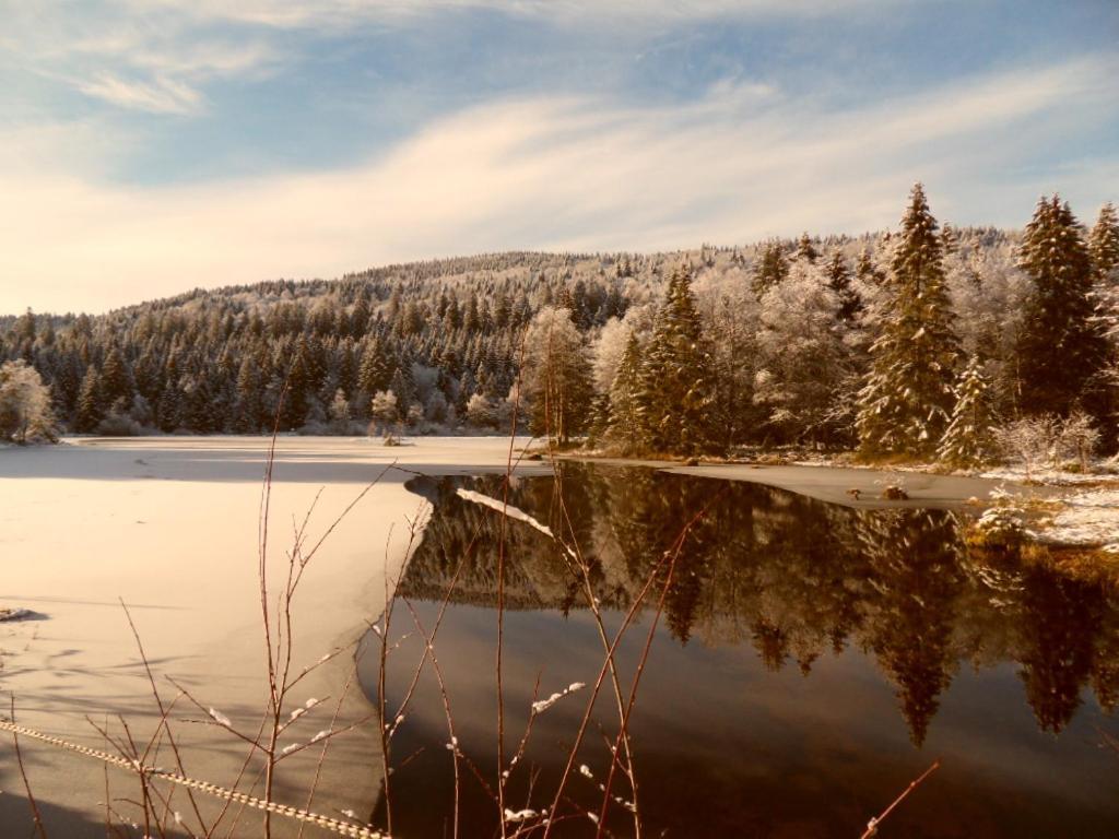 Le Montagnard Apartment Gerardmer Bagian luar foto