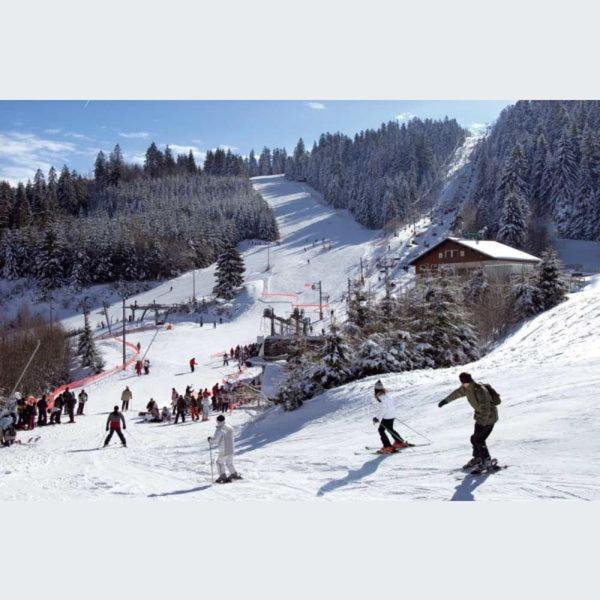 Le Montagnard Apartment Gerardmer Bagian luar foto