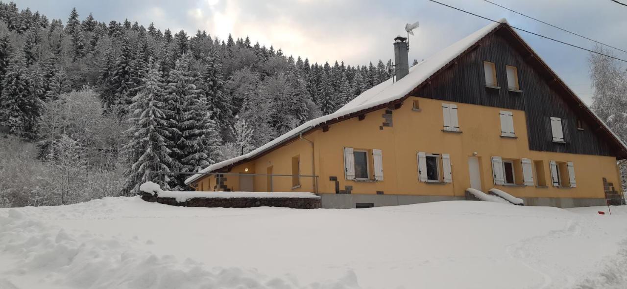 Le Montagnard Apartment Gerardmer Bagian luar foto