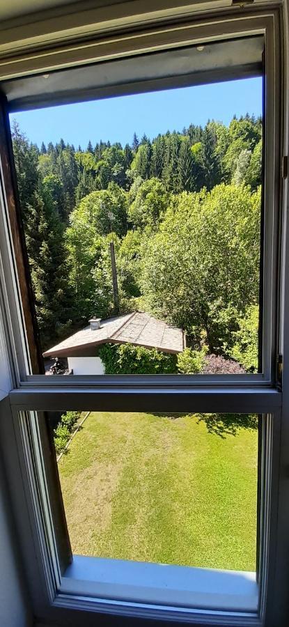 Le Montagnard Apartment Gerardmer Bagian luar foto
