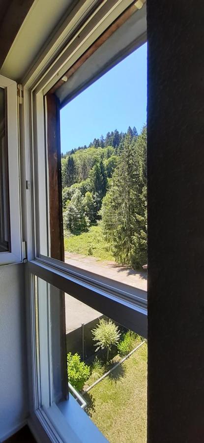 Le Montagnard Apartment Gerardmer Bagian luar foto